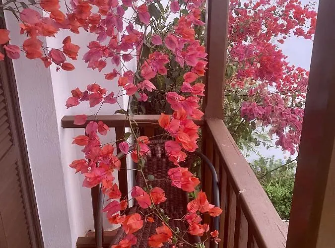 Villa - Playa - Con Acceso Directo A La Piscina Ev14 Estepona