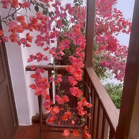 Willa - Playa - Con Acceso Directo A La Piscina Ev14 Estepona